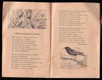 Ludwig Ankenbrand: Unserer Vöglein Luft und Leid