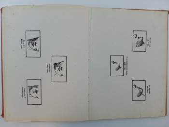 Theron Q Dumont: Úplný systém okkultních nauk 1 - 7 - I. Úvod do psychických věd a nauk o hypnotismu, sugesci, telepathii, osobním magnetismu + II. Hypnotismus + III. Autosugesce jako prostředek k sebeuzdravení a odstranění tajných zlozvyků a neřestí + IV. Uzdravování magnetismem + V. Charakter a jeho rozbor s použitím vědecké fysiognomiky, frenologie a grafologie + VI. Orientální magie a methody hypnotismu, telepathie, cvičení síly vůle, magnetického uzdravování + VII. Posthypnotická sugesce