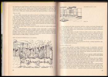 Robert Beránek: Úprava okolí chaty, chalupy, domku