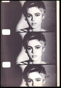 Victor Bockris: Uptight - The Velvet Underground Story