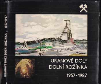 Uranové doly Dolní Rožínka, koncernový podnik