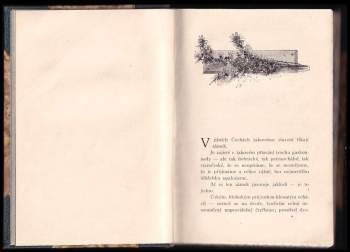 Karel Klostermann: Urvané listy
