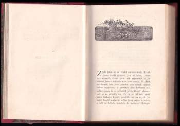 Karel Klostermann: Urvané listy