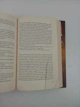 Rebecca Gablé: Úsměv Štěstěny