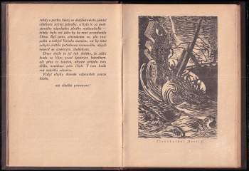 Valére Flérs: Usmívající se sfinx