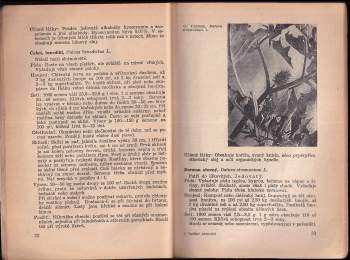 Jaroslav Písařík: Úspěšné pěstování léčivých a aromatických rostlin