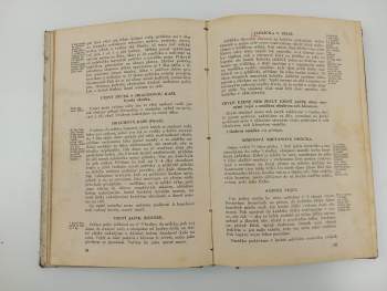 Anuše Kejřová: Úsporná kuchařka