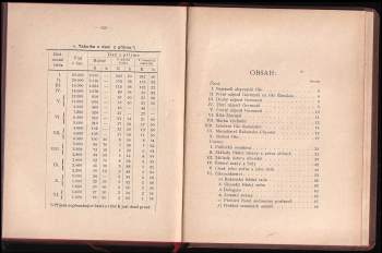 Ústava a správa říše Rakousko-uherské v soustavném přehledu