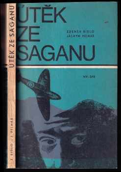 Útěk ze Saganu