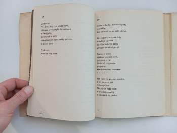 Jan Zábrana: Utkvělé černé ikony