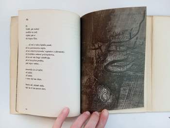 Jan Zábrana: Utkvělé černé ikony