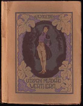 Utrpení mladého Werthera