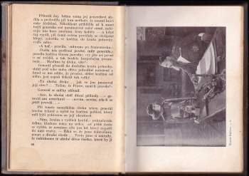 Henry Gréville: Utrpení Rajisino