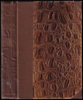 Henry Gréville: Utrpení Rajisino