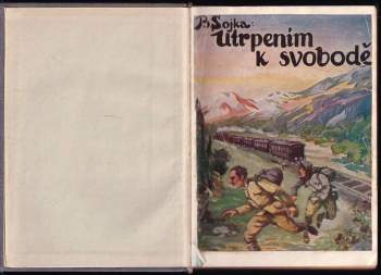 Bohumil Sojka: Utrpením k svobodě