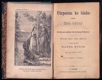 F. X Hahn: Poslední vůle, aneb, Osudové nalezence