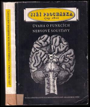 Úvaha o funkcích nervové soustavy
