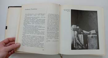 Charles Baudelaire: Úvahy o některých současnících