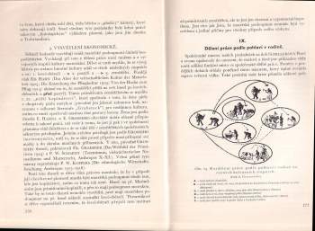 Josef Voráček: Úvod do studia člověka, společnosti a civilisace