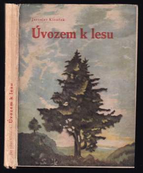 Úvozem k lesu