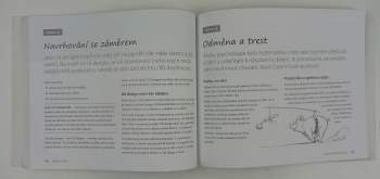 Joel Marsh: UX pro začátečníky