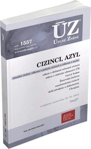 Cizinci, azyl