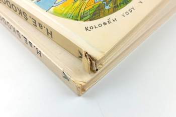 Eduard Škoda: Už vím proč