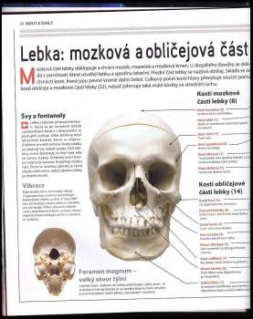 Úžasné lidské tělo