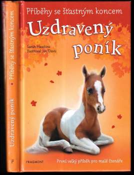 Sarah Hawkins: Uzdravený poník