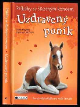 Sarah Hawkins: Uzdravený poník