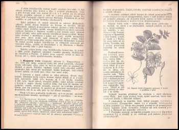 František Polívka: Užitkové a pamětihodné rostliny cizích zemí