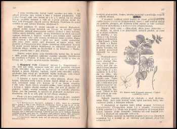 František Polívka: Užitkové a pamětihodné rostliny cizích zemí