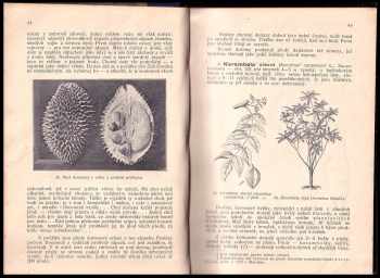 František Polívka: Užitkové a pamětihodné rostliny cizích zemí