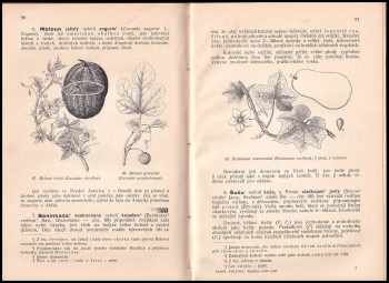 František Polívka: Užitkové a pamětihodné rostliny cizích zemí