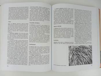 Pavel Valíček: Užitkové rostliny tropů a subtropů