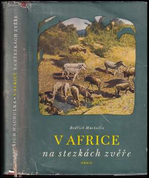 V Africe na stezkách zvěře