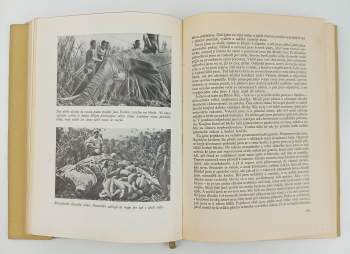 Bedřich Machulka: V Africe na stezkách zvěře