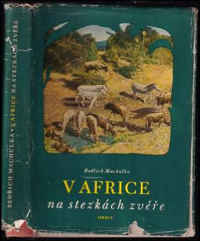 V Africe na stezkách zvěře