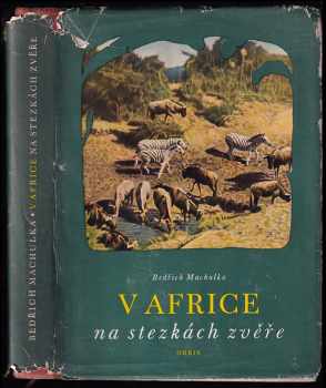 V Africe na stezkách zvěře