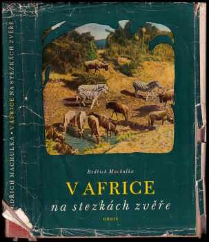 V Africe na stezkách zvěře