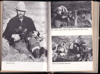 Lois Crisler: V arktických pustinách