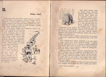 František Flos: V bažinách argentinských