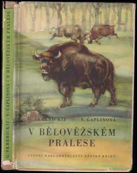 V Bělověžském pralese