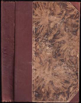 V bludišti vášně