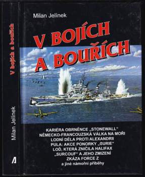 Milan Jelínek: V bojích a bouřích