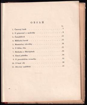 Julie Brožová-Malá: V čarovném kruhu