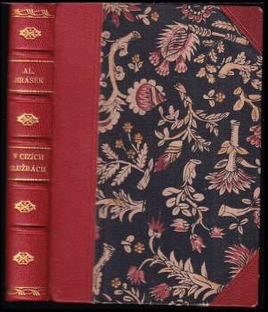 V cizích službách