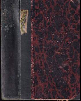 V družině dobrodruha krále