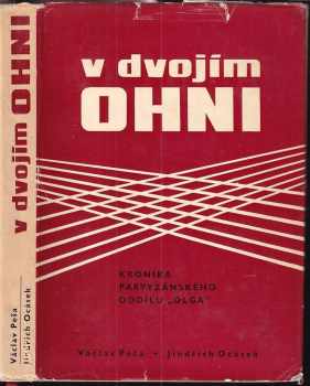 V dvojím ohni