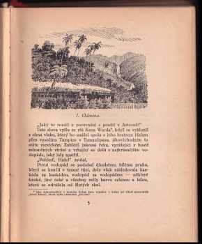 Zane Grey: V džungli